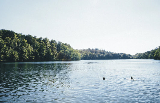 The best lakes in Berlin