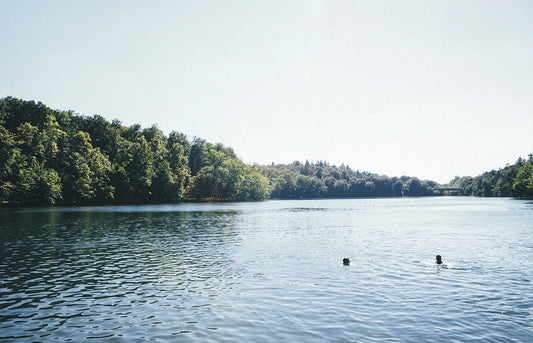 The Best Lakes in Berlin